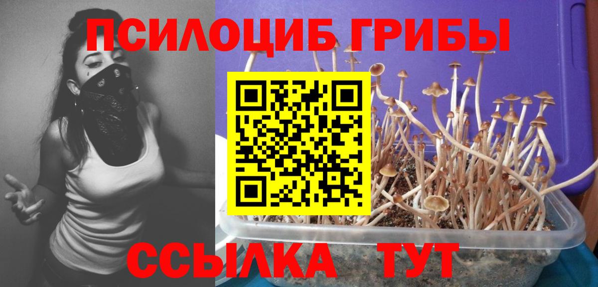 Псилоцибиновые грибы Psilocybine cubensis  Вход с VPN  Партизанск 